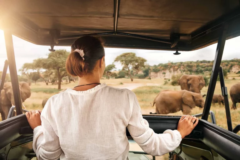 African Safari Tours for Singles: Ultimate Guide to Adventure and Connection