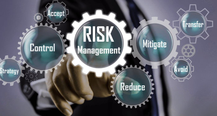 Risk management - DELFF